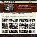 website for Chesler Photography, Canadaigua, NY